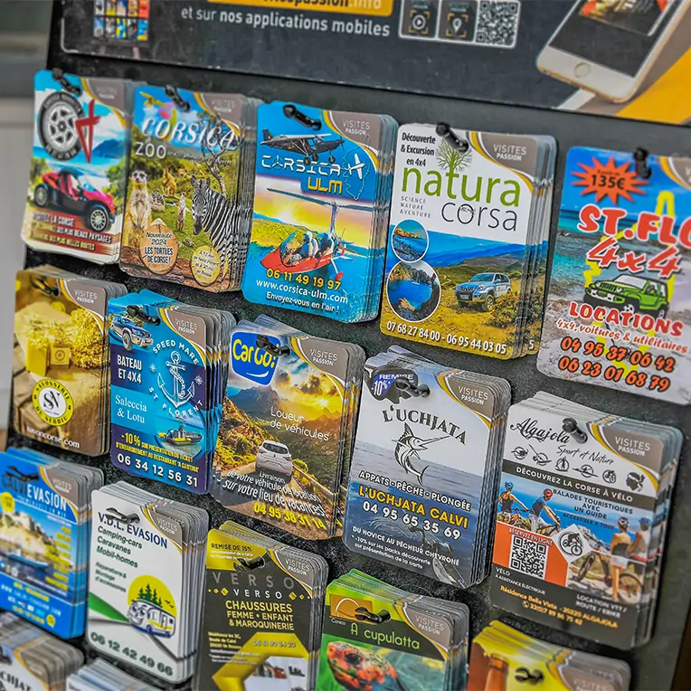 activites a decouvrir a calvi et en balagne