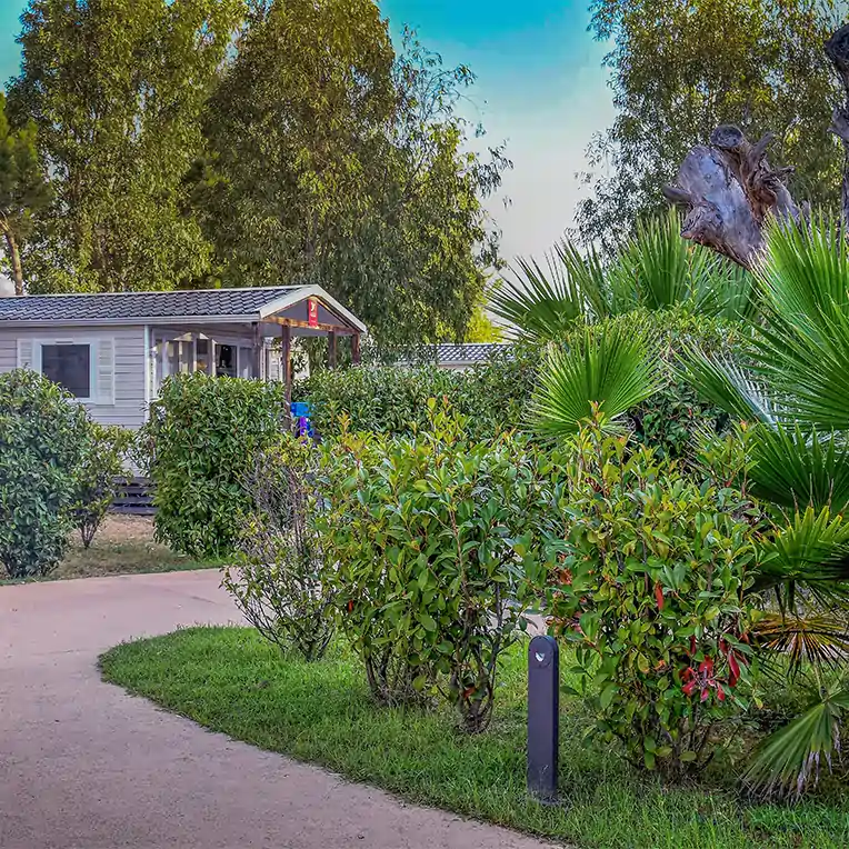 un environnement fleuri et arbore