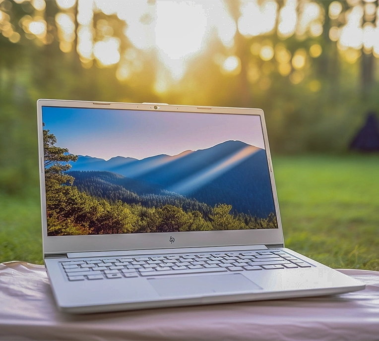 un reseau wifi qui couvre l ensemble du domaine